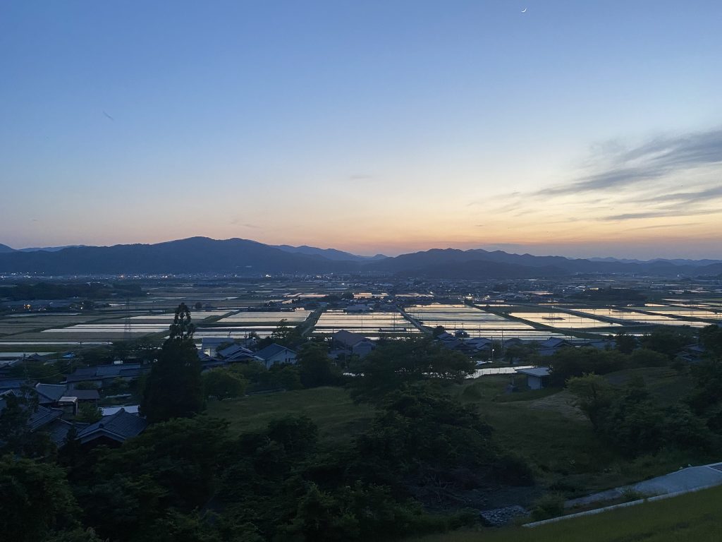 View of rice paddies in Woodland Kyoto